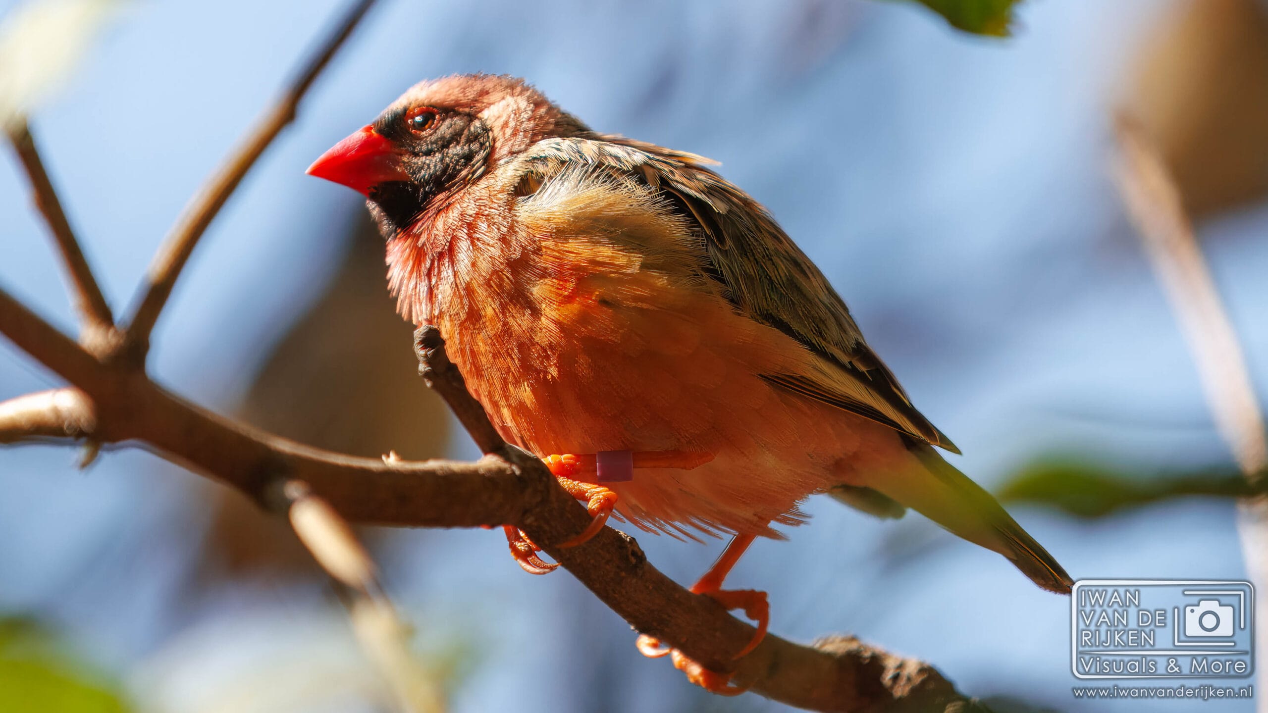 GaiaZOO een bijzondere wereld
