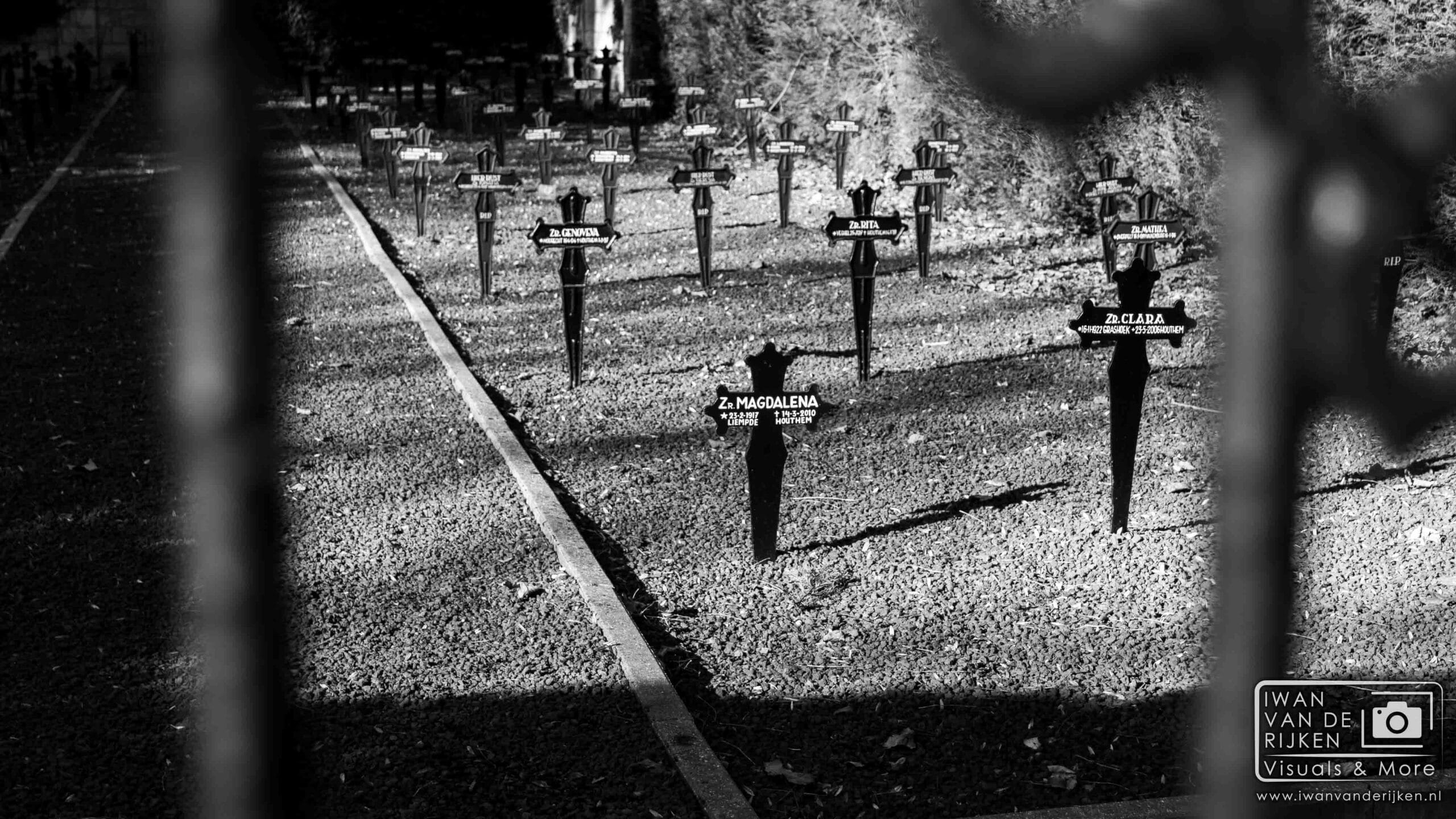 Zusters van Barmhartigheid