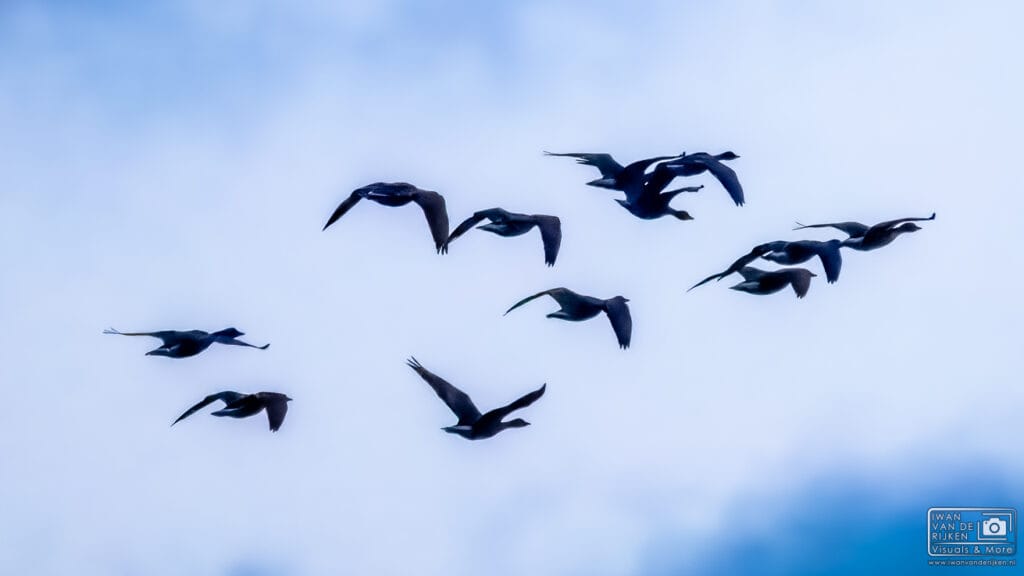 De Reis van Iwan van de Rijken in Beeld